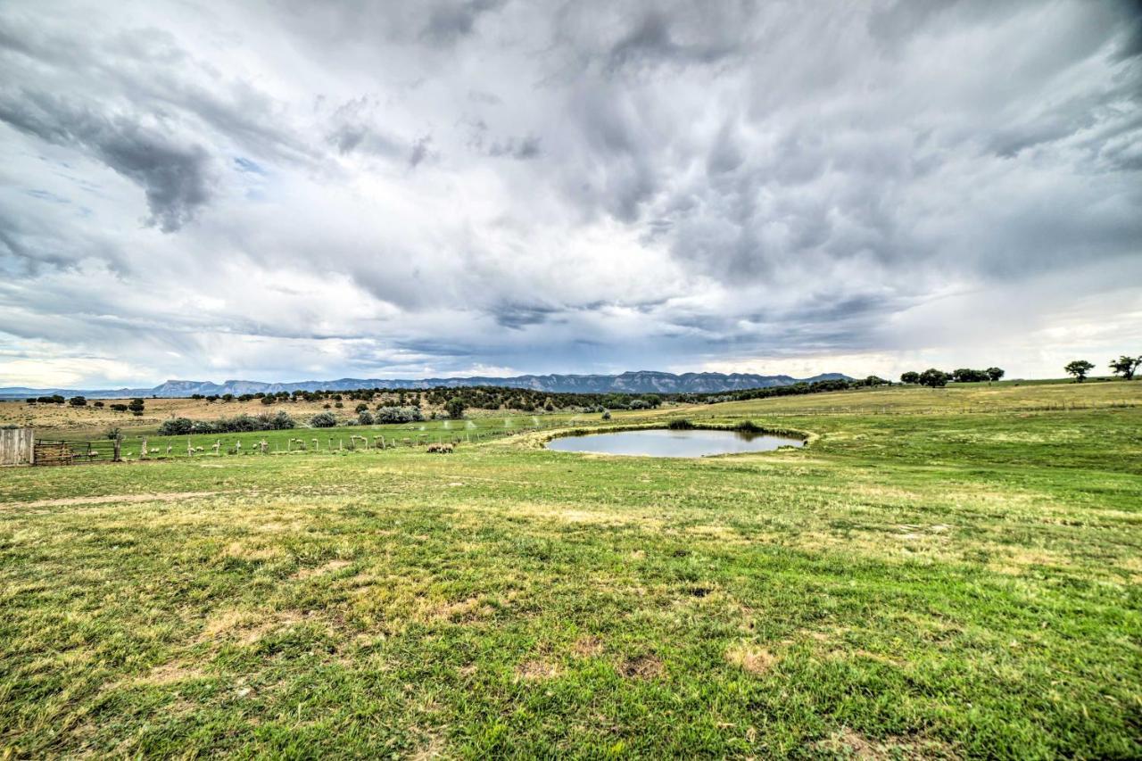 Walkout Apartment With Mtn View On Cortez Ranch Dış mekan fotoğraf